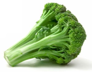 pic_broccoli1